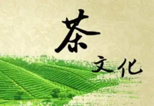 中国经济高质量发展的脉动：先行指标彰显强劲动能