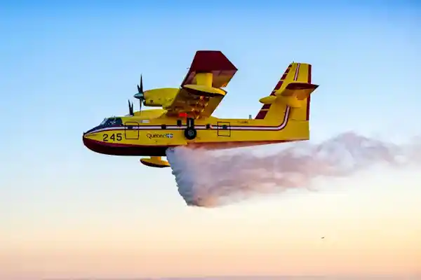 无人机碰瓷消防飞机？男子撞坏CL-415获刑14天赔偿百万