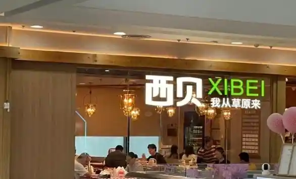 西贝豪掷百万进军零售，预包装食品新公司正式启航