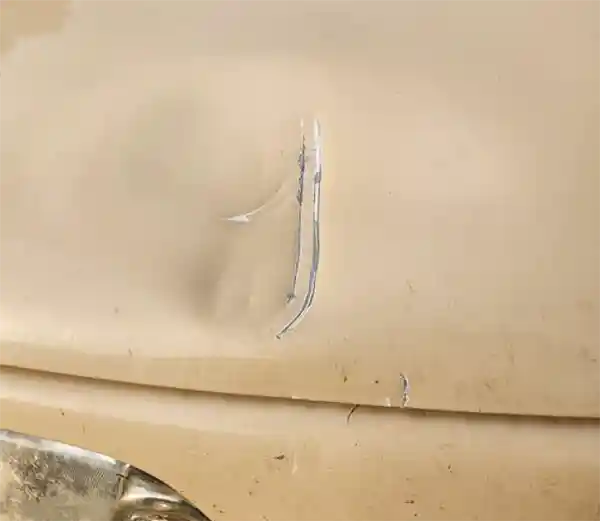 北海道惊现熊掌拍车奇观：引擎盖被猛扇凹陷引热议