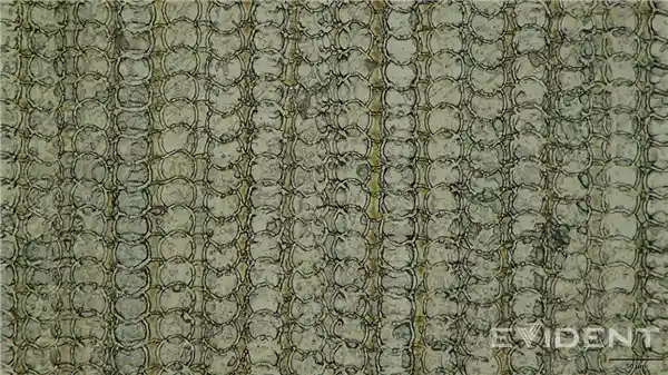 iPhone Air首曝3D打印USB-C接口，苹果创新再升级