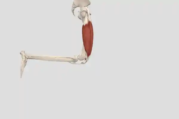 膝盖突然发软？别忽视！或是身体发出的这些疾病警报