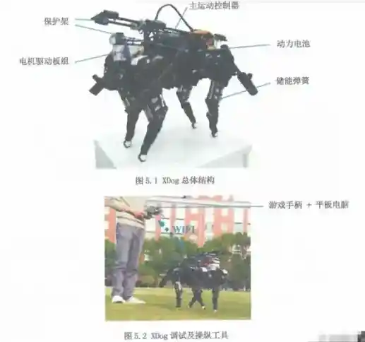 从论文到爆款：宇树科技王兴兴揭秘创业十年之路