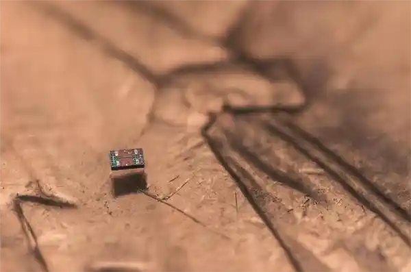 纳米级革命！全球首款1美分‘活体芯片’机器人问世：比细菌还小，能编程、可量产