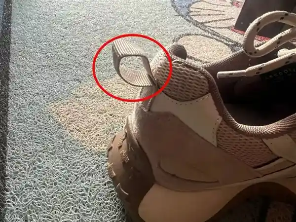 澳洲女子山林寻宝突遇毒蛇，人稳如泰山，蛇竟慌不择路狂逃！