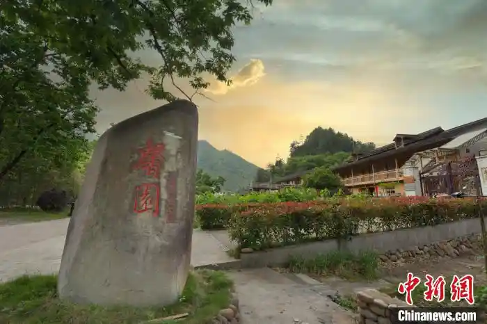 浙江龙泉：侨乡共兴点亮山区共同富裕新画卷