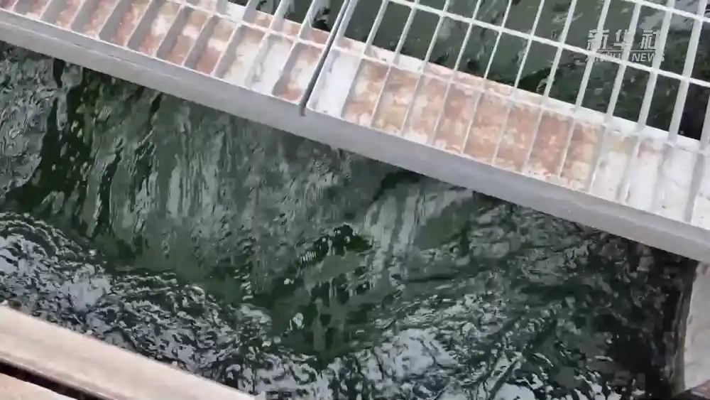 变身节水先锋：企业生产中的创意水管理秘籍