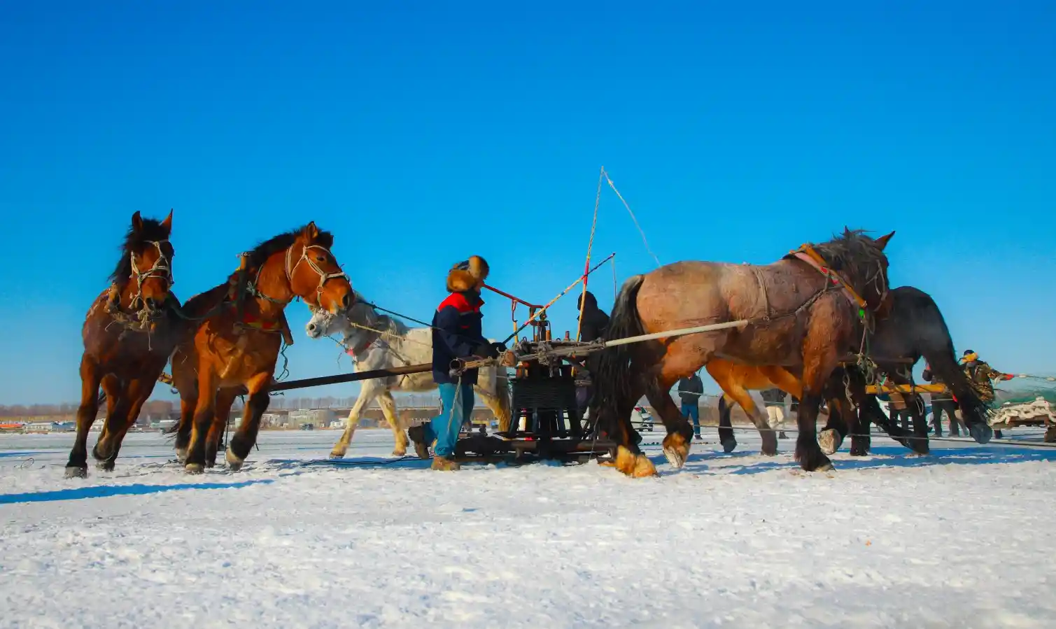 《冰雪奇缘：吉林雪季的文化IP与文旅融合新篇》