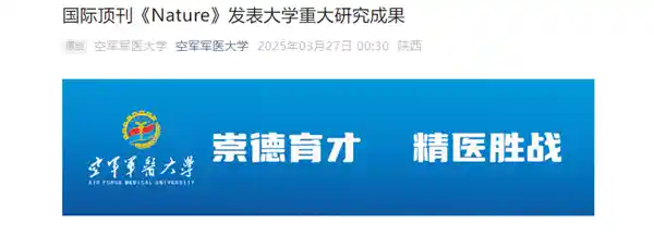 中国突破！全球首例基因编辑猪肝成功移植人体