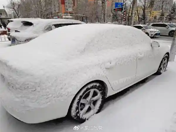 三月末雪舞回归！哈尔滨瞬间重返冬日怀抱