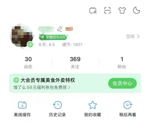 《一年一遇的绿光盛典！B站年度小会员狂欢再启》