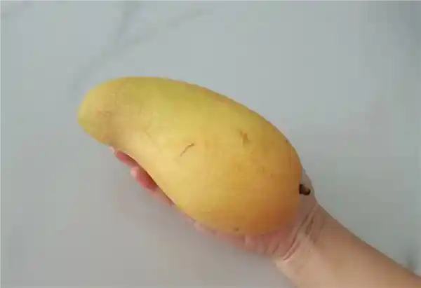 芒果季来临：不是每个人都能享受的美味