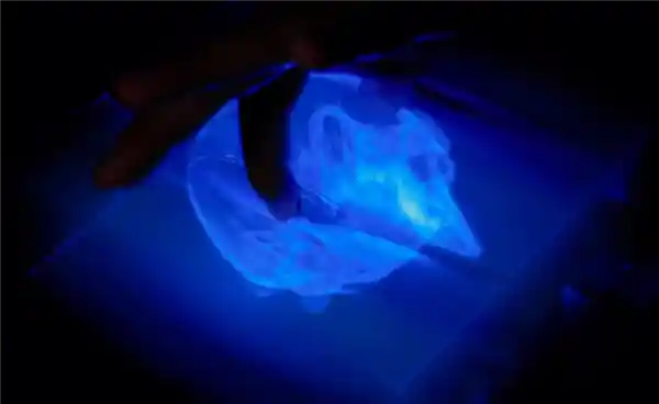 科幻成真！全球首款触感3D全息图震撼问世