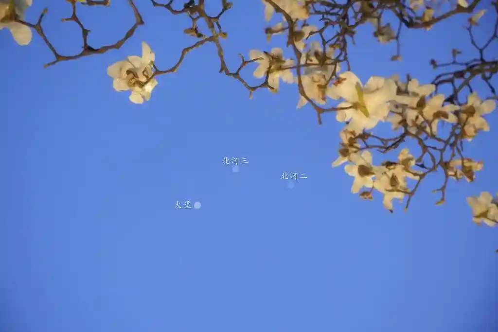 火星、北河三、上弦月同台竞艳，星空三英会闪耀夜空