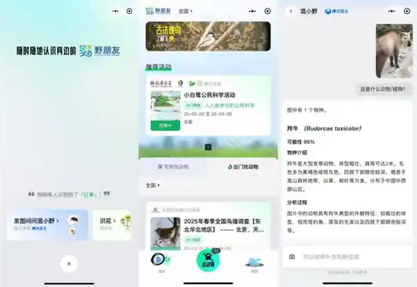 手机镜头秒变自然翻译器！腾讯野朋友计划携手混元推出物种识别黑科技