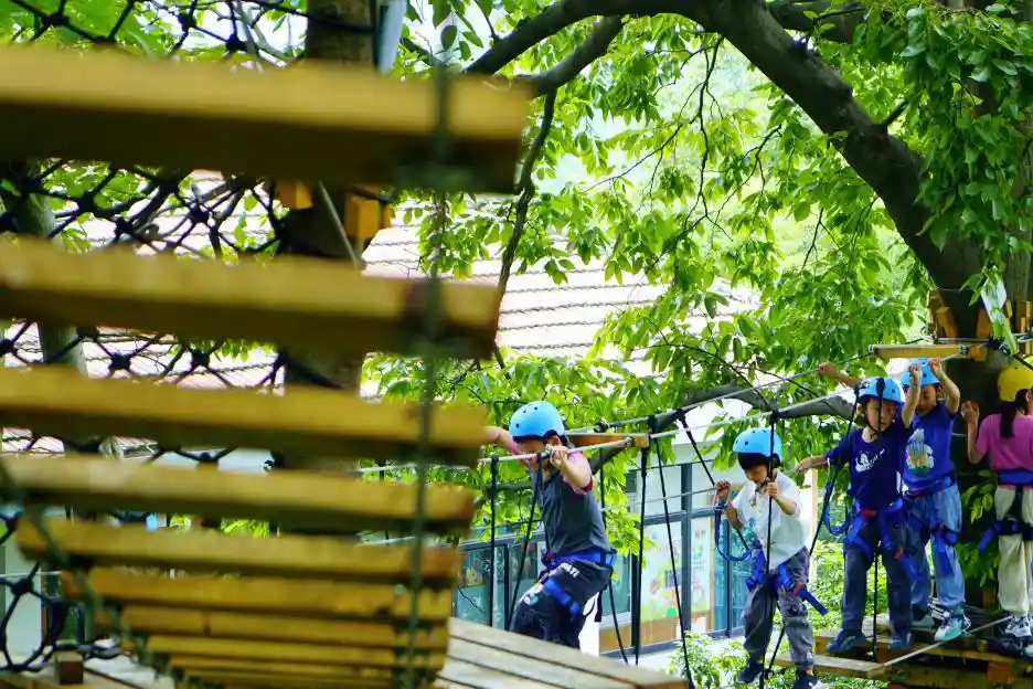 古院绿意浓 小学生态教育走出特色路