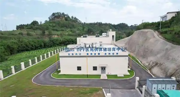 《突破极限！我国首例基因编辑猪肾异种移植患者成功存活超百日》