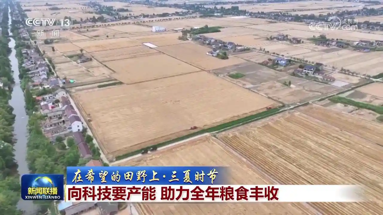 【金色沃野绘丰景·三夏新篇章】以科技赋能秋粮满仓
