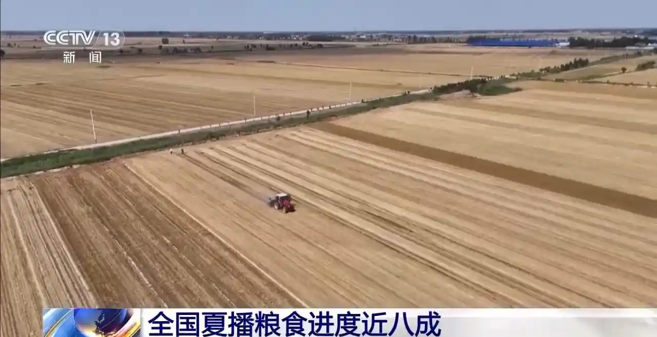 夏粮收割九成收官 夏播粮食八成落子