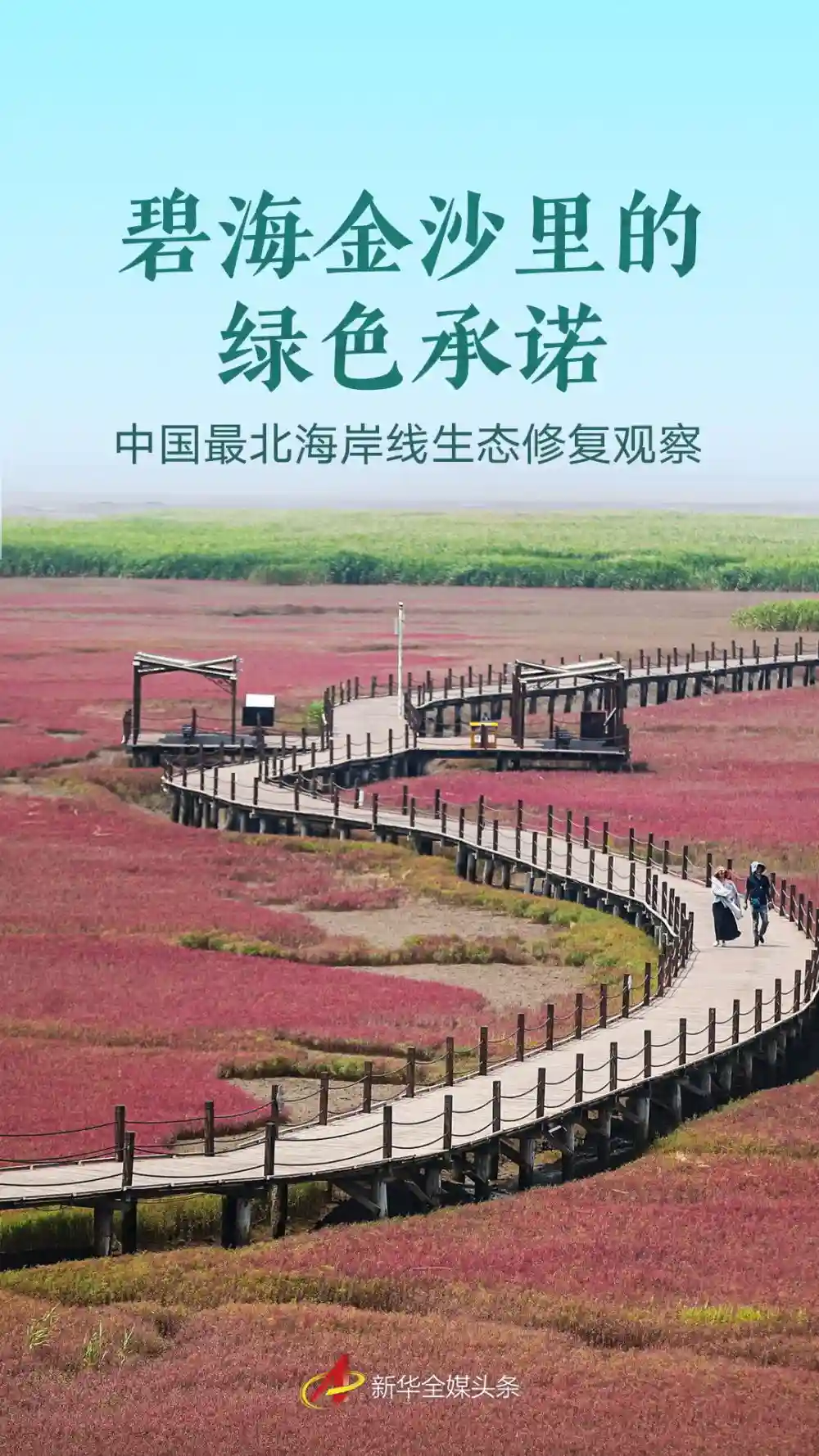 碧海金沙的生态答卷：中国最北海岸线焕新记