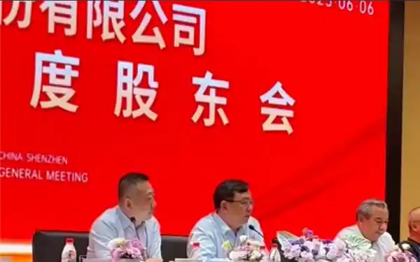 《股东为支持比亚迪清仓其他股票，王传福动容哽咽：此生唯有比亚迪》