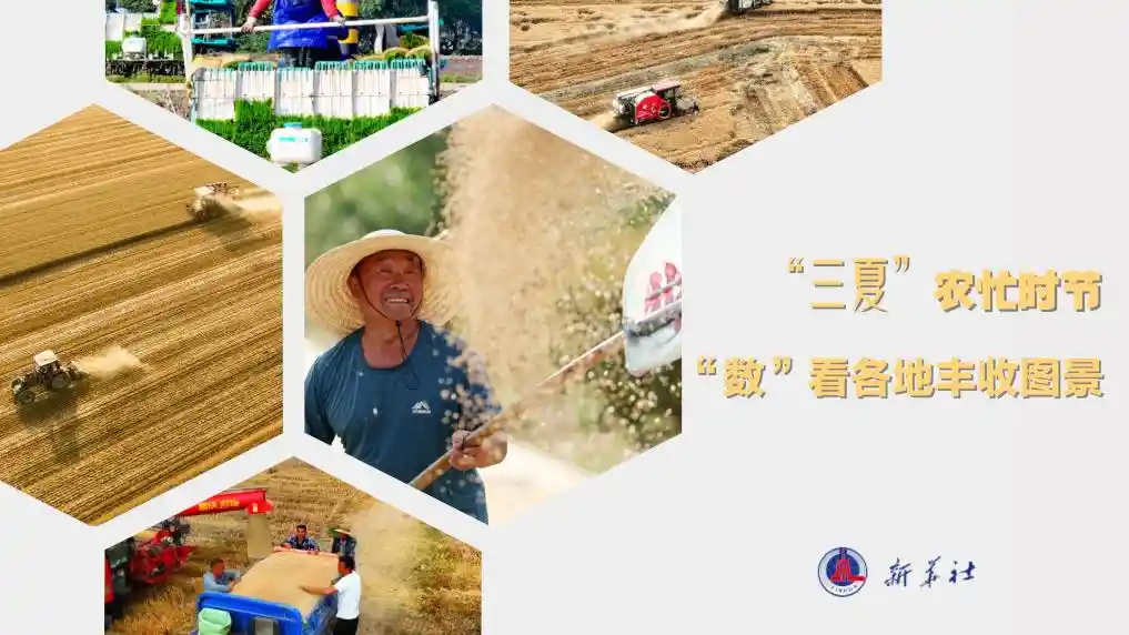 《数说三夏：镜头里的丰收画卷》