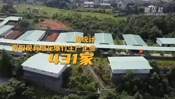 焰火匠心点亮全球：‘浏阳烟花’绽放经济新传奇