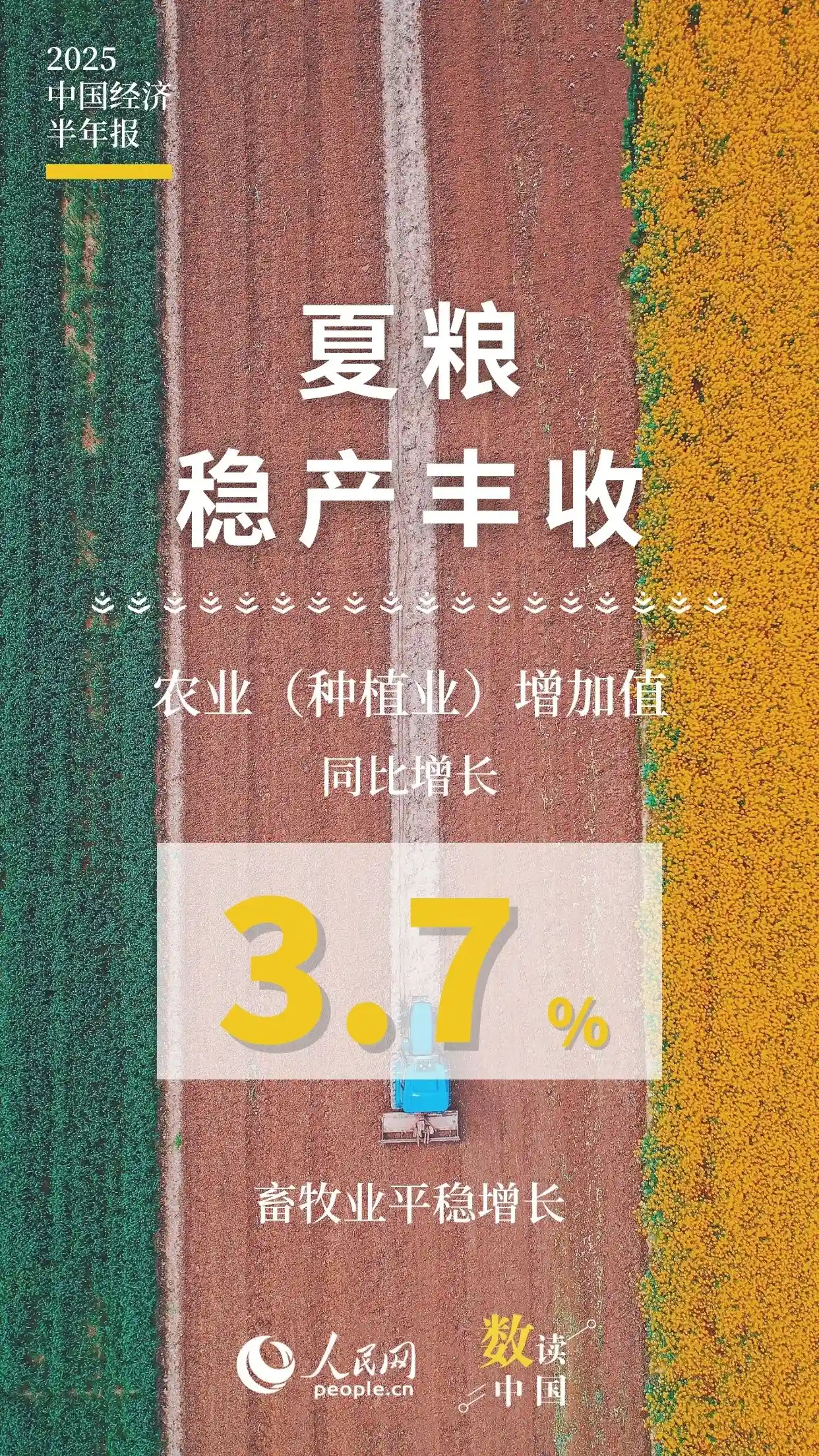 2025中国经济半年报：十组数据揭秘增长新动能