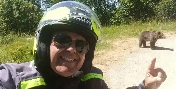 男子靠近熊自拍意外坠入山沟，生死瞬间画面曝光