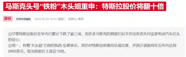 木头姐力挺特斯拉，马斯克淡出白宫引关注