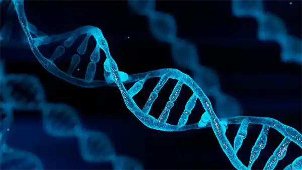 我国艾滋病疫苗研发获突破：I期临床试验成功完成