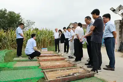 江苏惊现大型金矿，地质勘探再传捷报