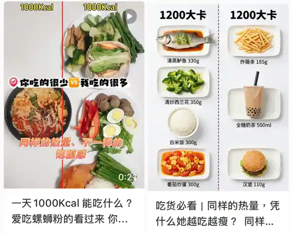 300大卡背后的代谢密码：为什么同样热量，有人瘦成闪电，有人胖出重影？